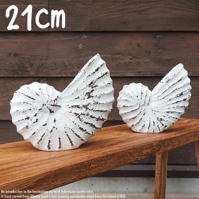 木製 オブジェ オウムガイ Lサイズ 21cm 貝 ホワイトウォッシュ 木彫り