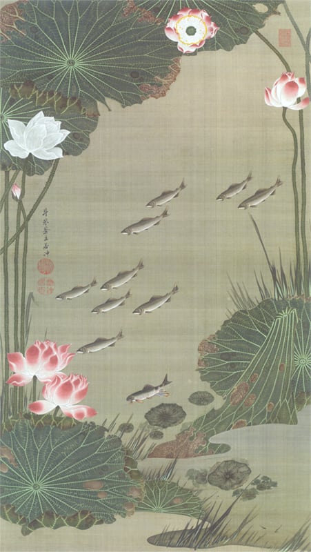 動植綵絵」蓮池遊魚図（額付き） | 絵画販売 Macworks