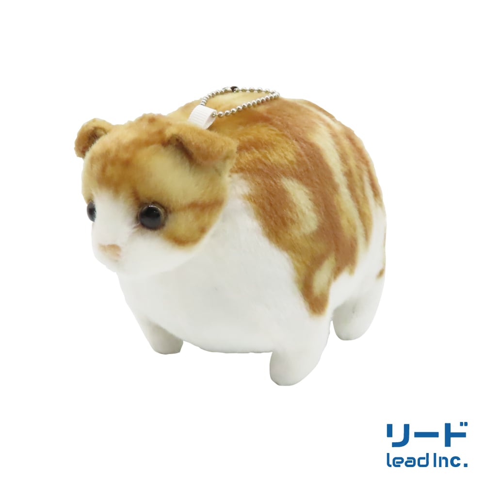 ふとっちぃZooにゃんこmini スコティッシュフォールド | リードのお