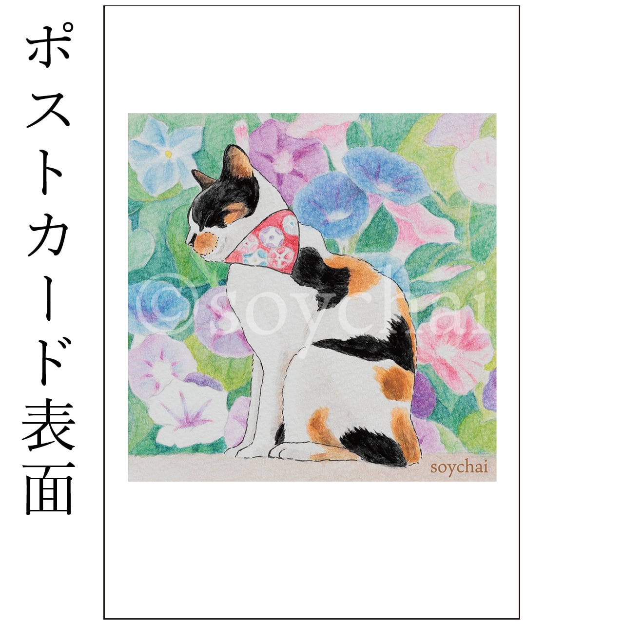 三毛猫さん+朝顔] ポストカード | soychai