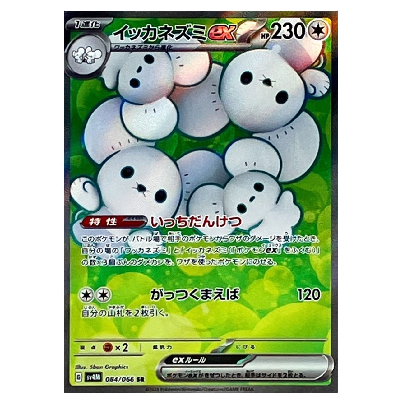 イッカネズミex SR SV4M 084/066 - | ポケモンカード専門店 Cobalt Cave