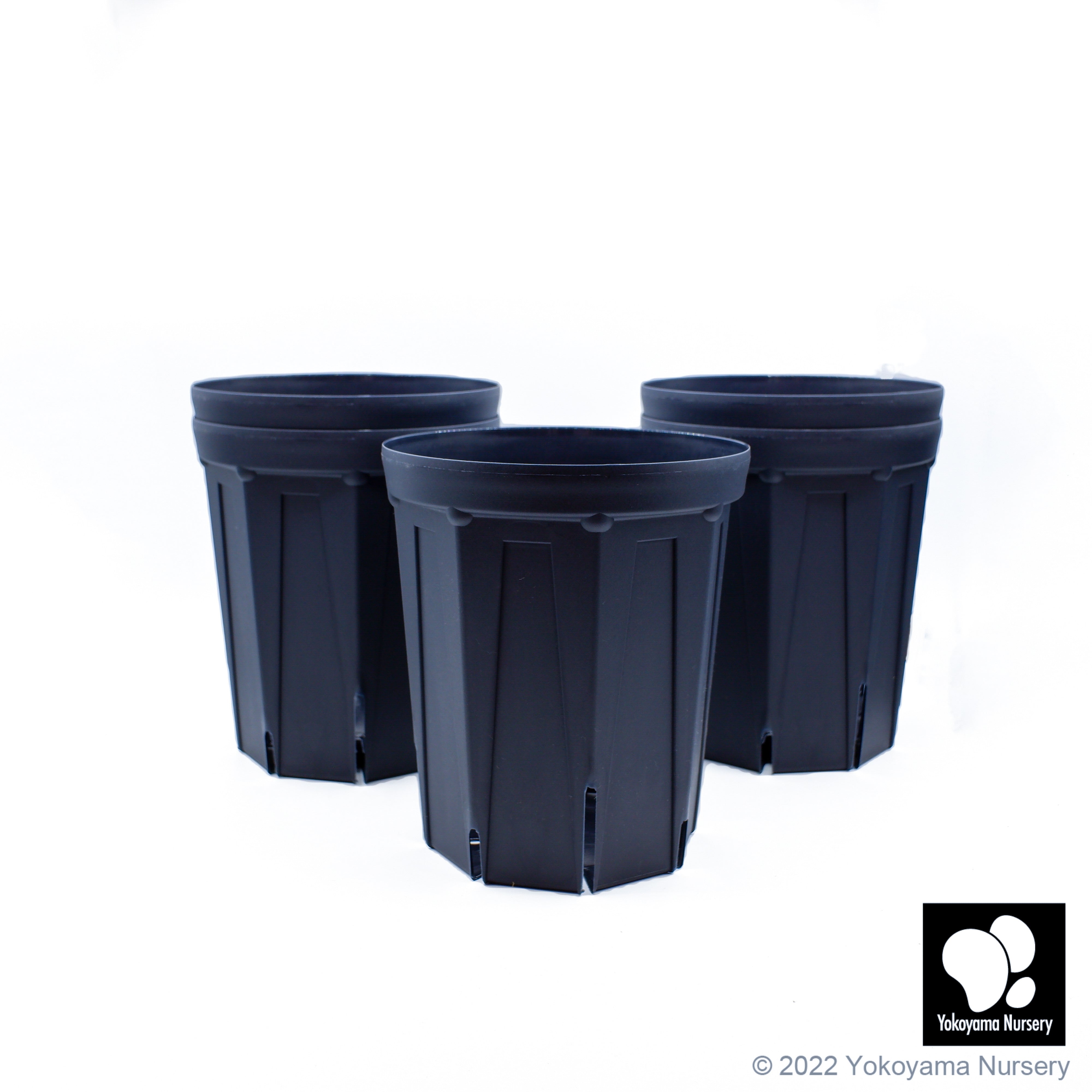2c3b66ae85c9acf453acf0fc3bb0c8