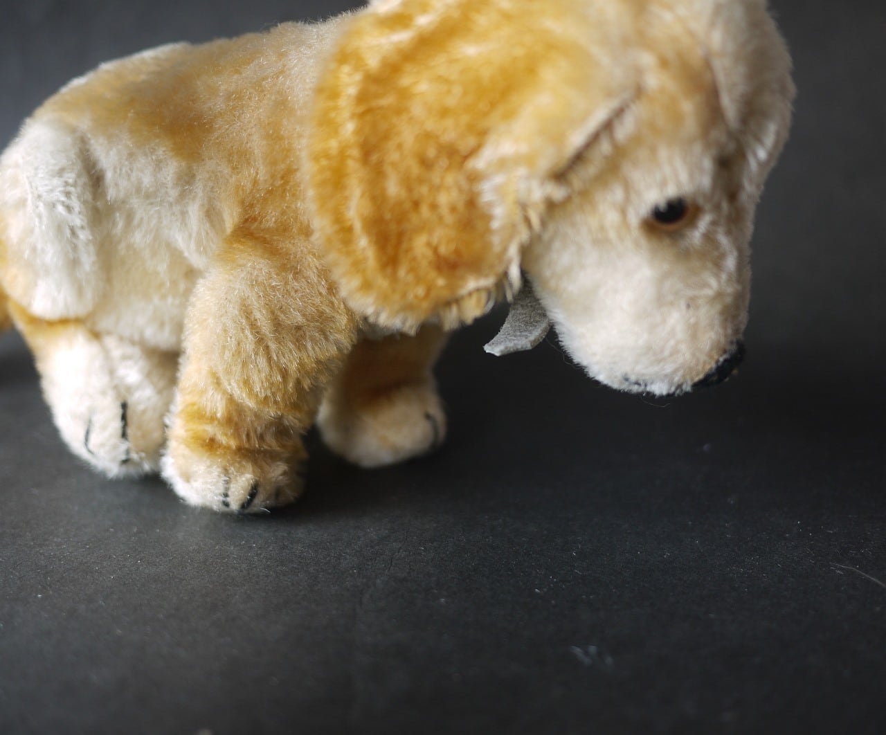 シュタイフ Bazi ダックスフント ドイツ STEIFF | こりすのパン屋Base
