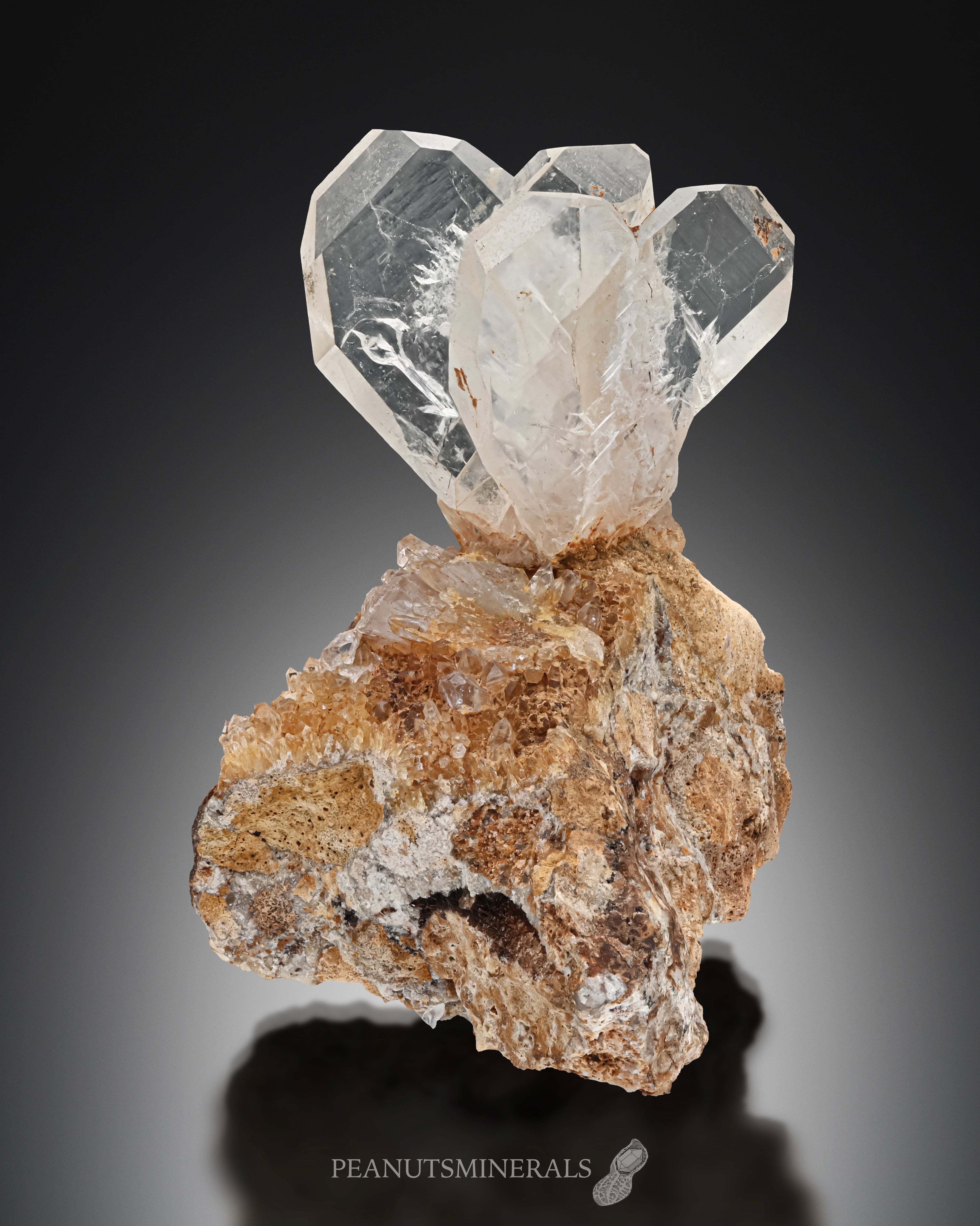 クォーツ / 日本式双晶【Quartz】日本（長崎県）産 | PEANUTS MINERALS