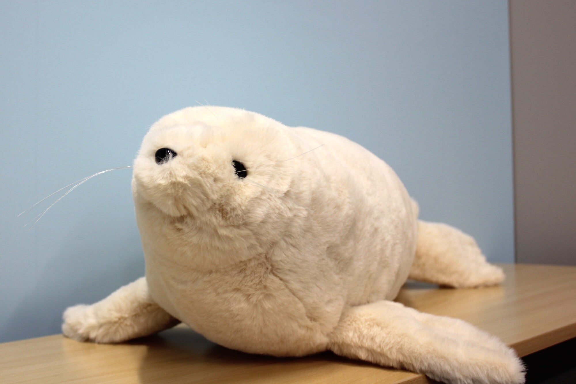 等身大ゴマフアザラシぬいぐるみ | 男鹿水族館GAO Online Shop