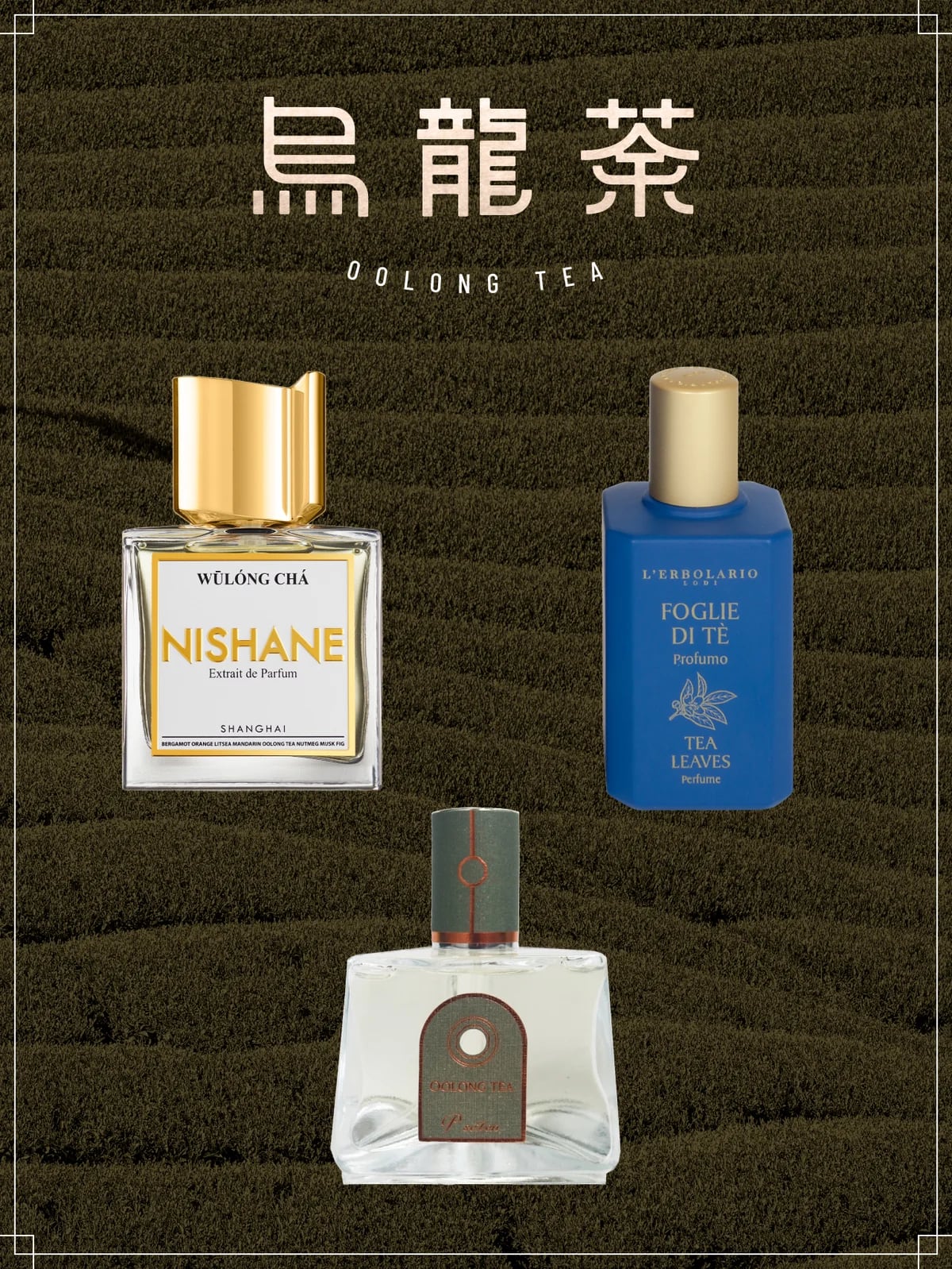 NEWS | P.Seven茶香水