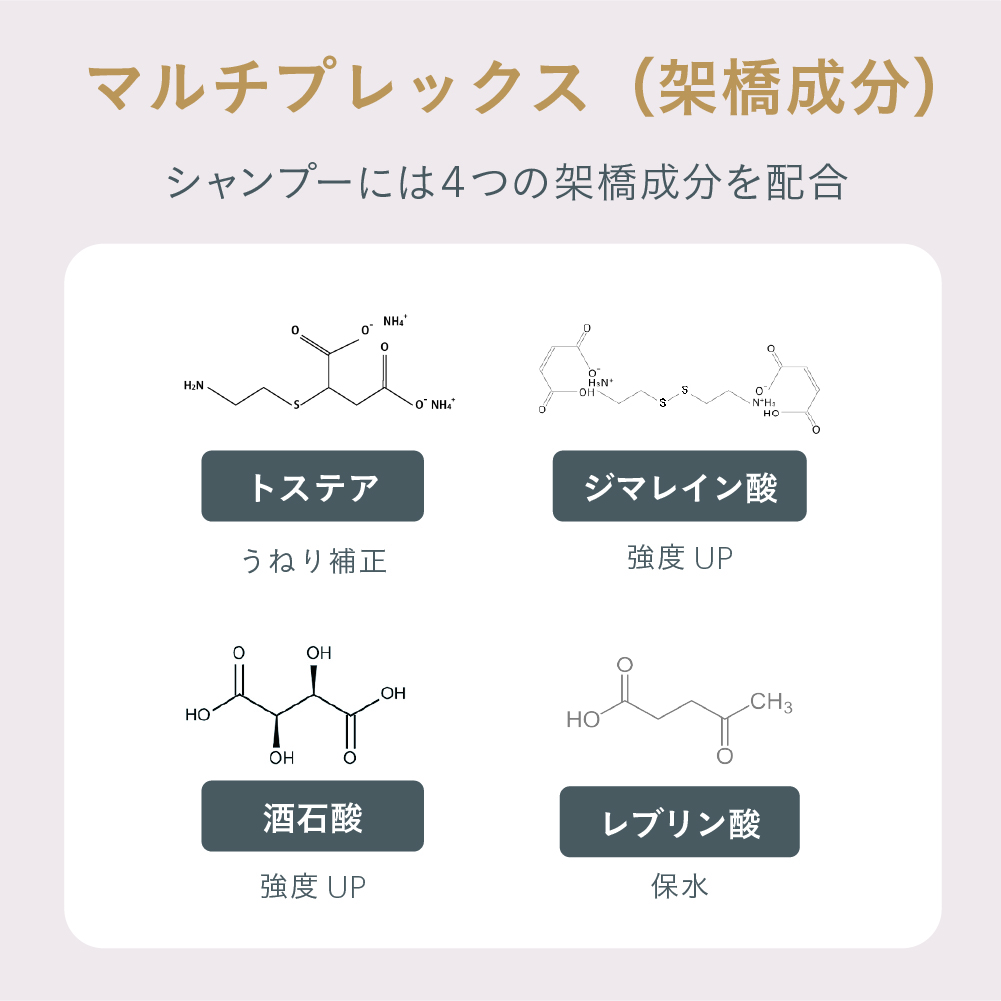 ESTABLISHED コアプレックス シャンプー400ml