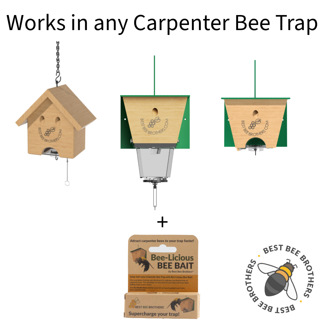 Bee-Licious Bee Bait 2 Pack