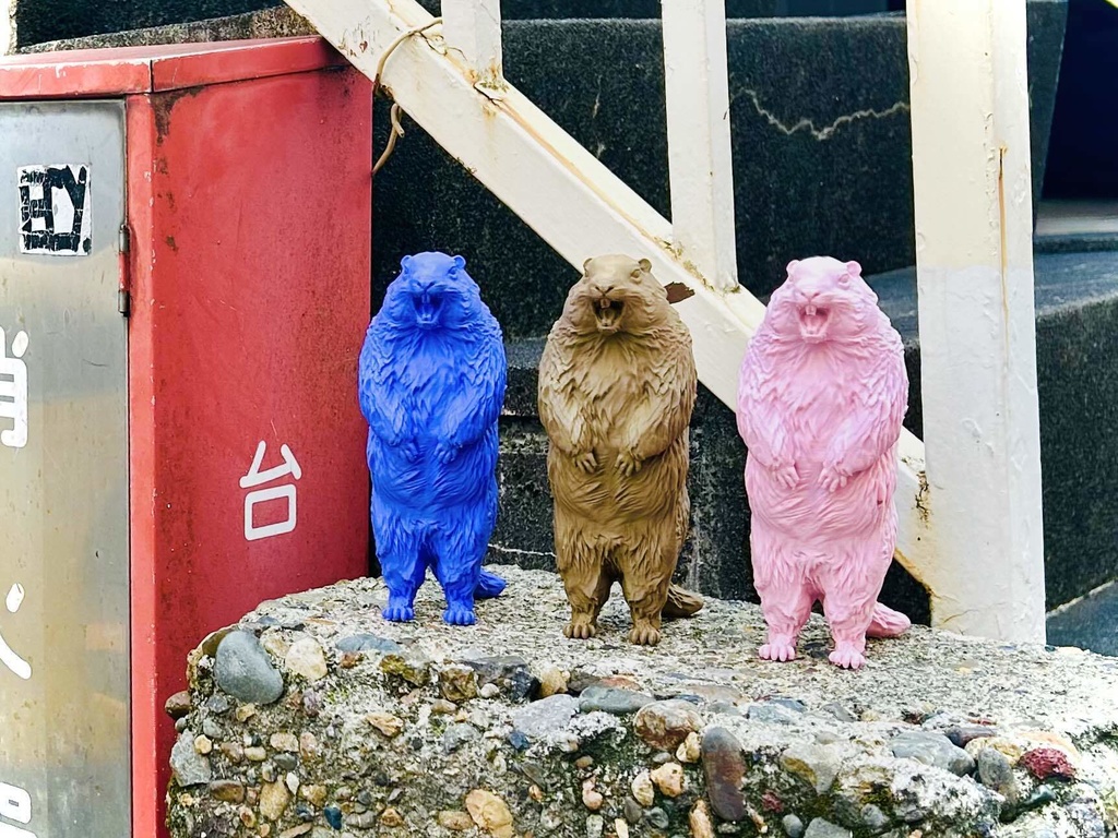 Insomnia3D 叫ぶマーモット ScreamingMarmot 1st Color - insomnia3D