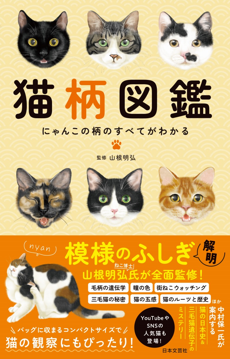 猫の遺伝の法則がわかる。黒三毛、キジ三毛「模様のふしぎ」を解明