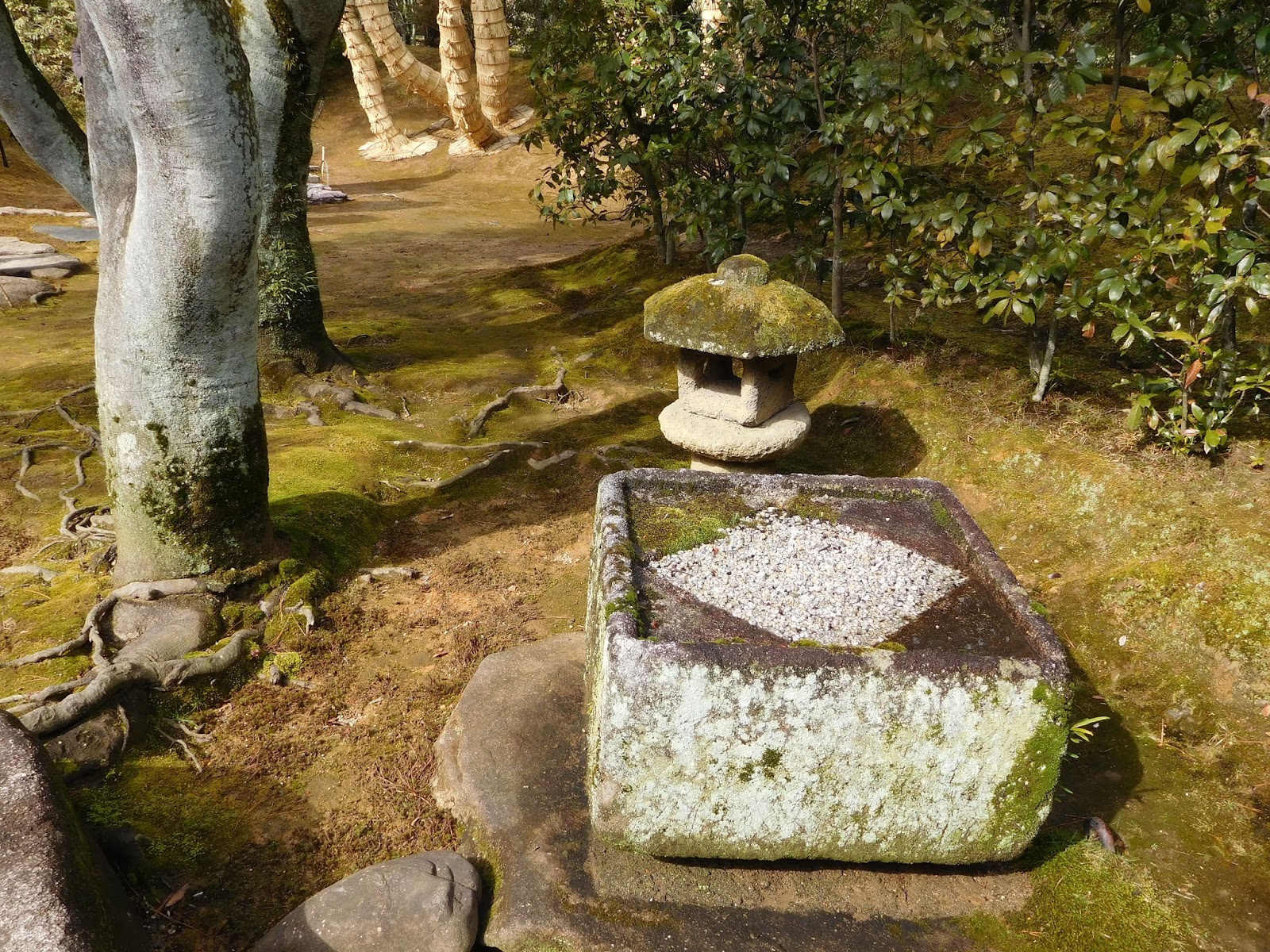 白川石二重枡形水鉢 白川石二重枡形水鉢 園芸用品