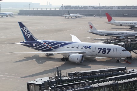 ANA B787-8 通常塗装機（JA804A・暫定国内仕様機） - Neko Transport