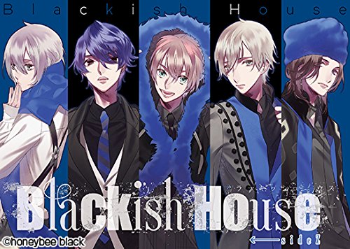 Blackish House sideZ← 総評 - 徒然乙女日記-カワセミ-