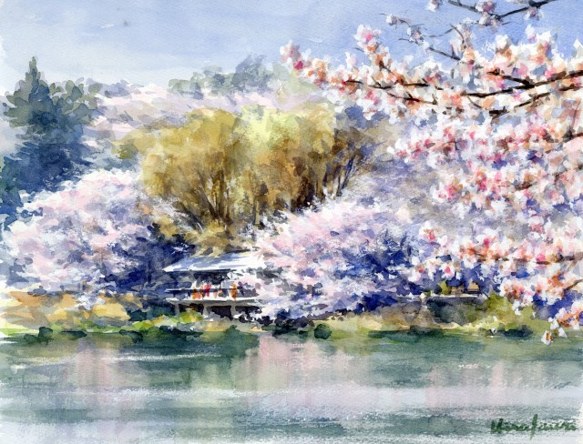 遊彩会：皆で同じ風景を描く／水辺の桜：F6（三ツ池公園） | … 風景画