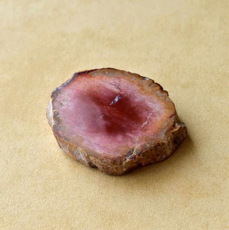 珪化木 ペトリファイドウッド 木の化石 アメリカ・ユタ州産 14.1g