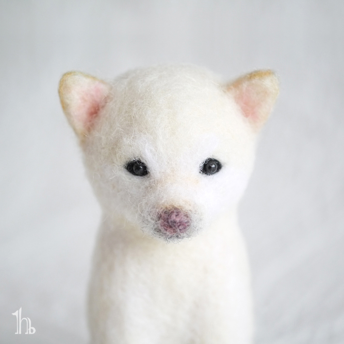 白柴パピーの子毛柴 | 羊毛フェルト工房 8106ne