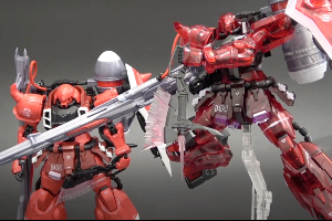 MG 1/100 ガナーザクウォーリア(ルナマリア・ホーク専用機)[クリア