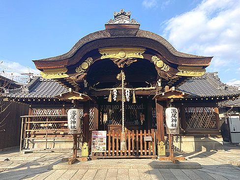 籤】龍みくじ・瀧尾神社｜魂京都(tamashii_kyoto)