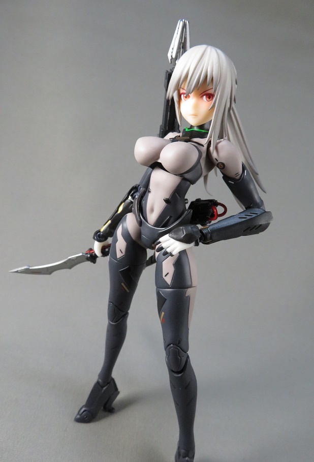 玩具レビュー ASSASSIN アサシン 1/12 完成品アクションフィギュア