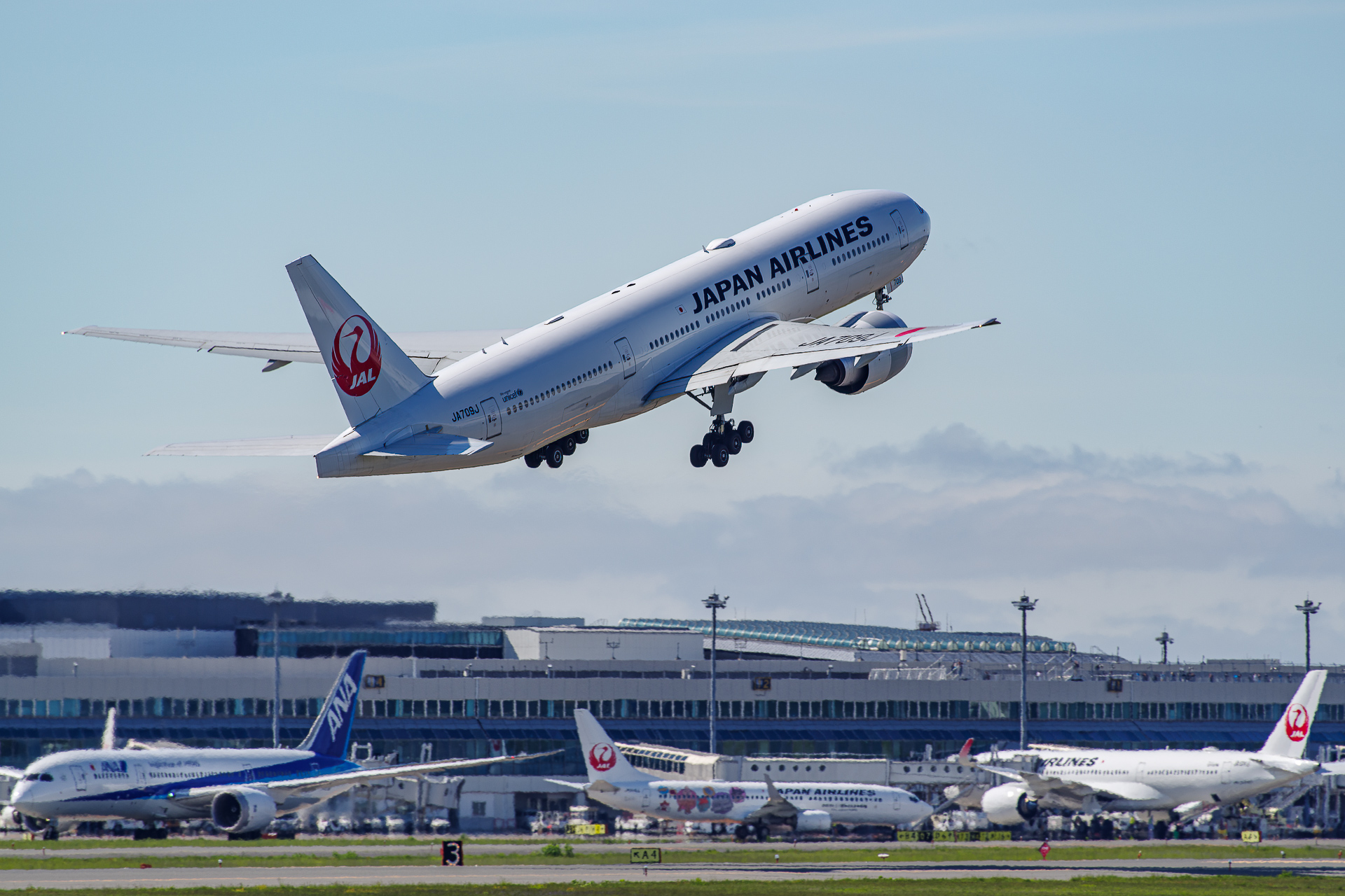 もうすぐ退役するJAL B777−200ERの下地島チャーターフライトに乗っ
