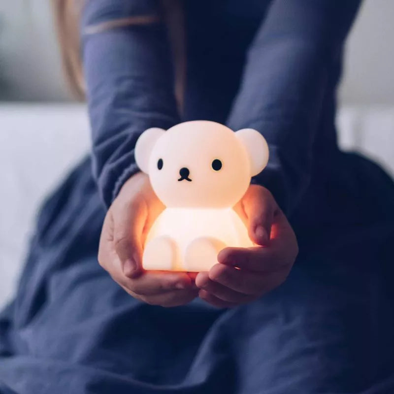 Illuminate Your Space with Boris Bear Night Light – Blink Box