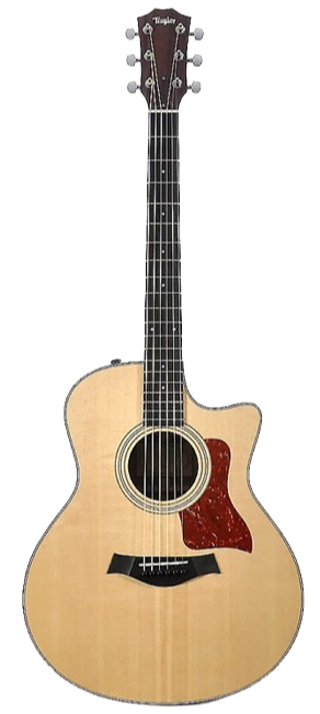 TAYLOR 316 CE for sale - Price and Used Value