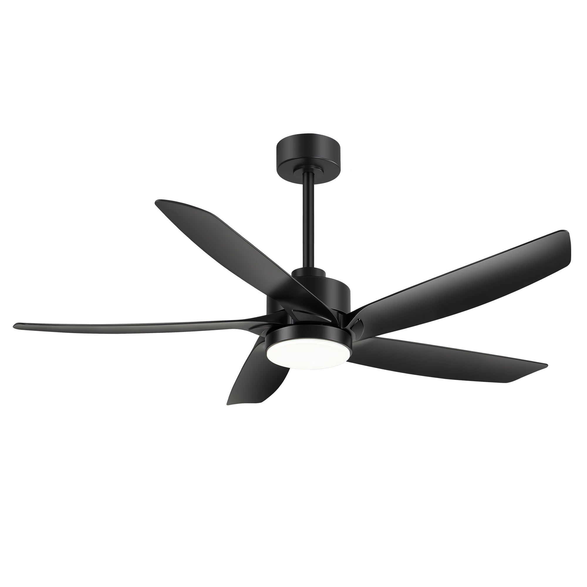 30032-AB-11.jpg?v=1730958011