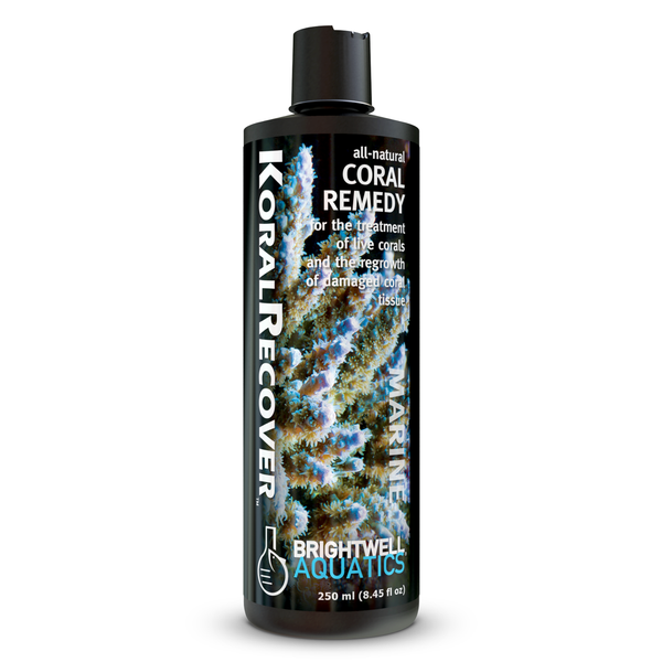 KoralRecover250ml_10in_600x600