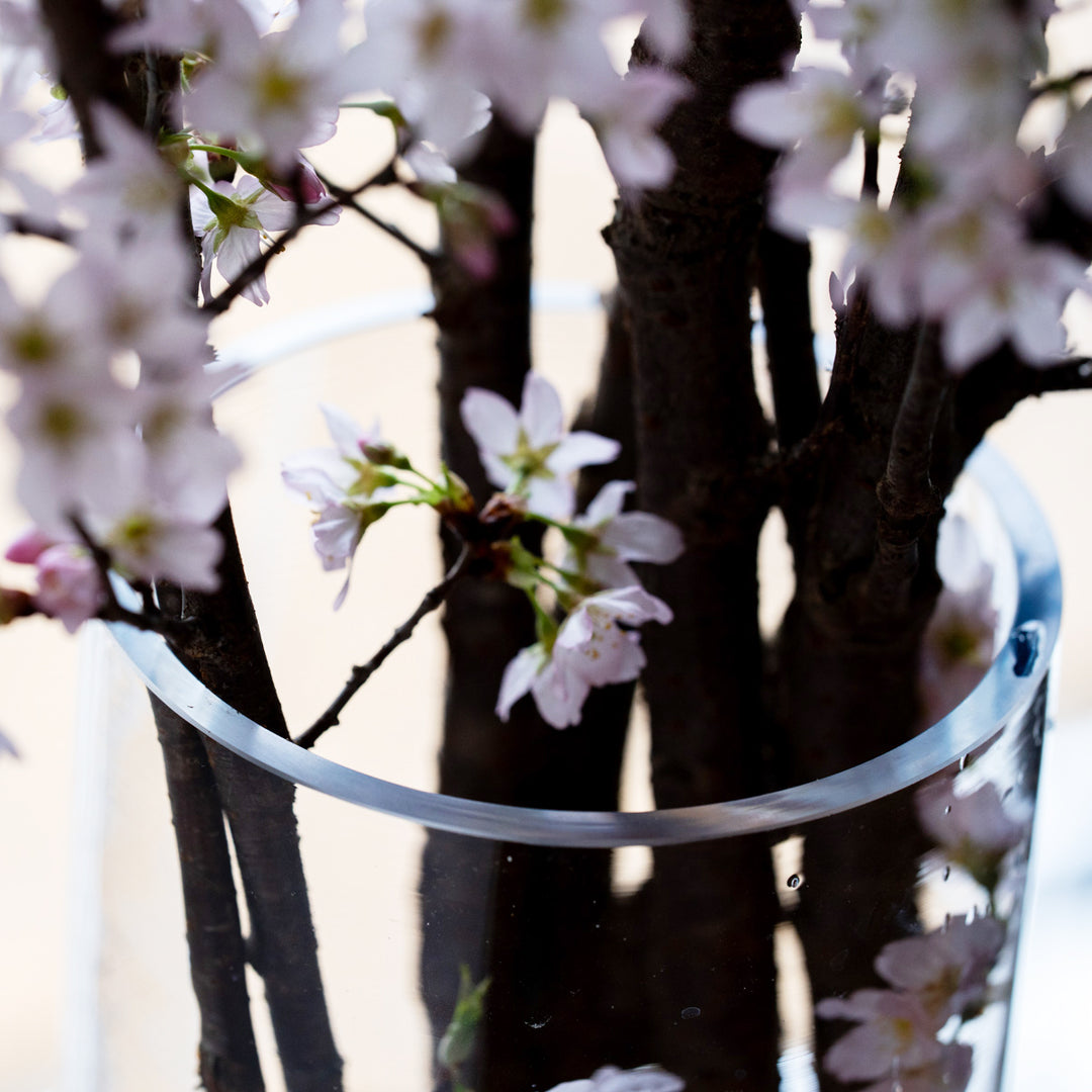 石木花 啓翁桜（ガラス花瓶セット） お部屋で楽しむ、早春の桜。 – By