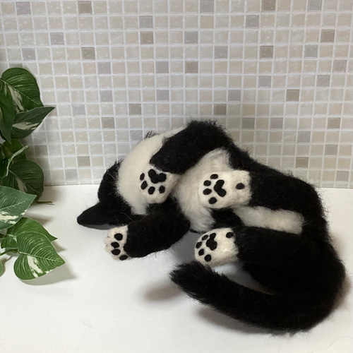 サンプルページ 見上げるポーズ ハチワレ ブチ 白黒 猫ちゃん 羊毛