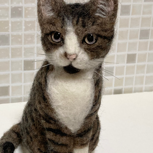 Mサイズ 植毛なし サンプルページ キジトラ 猫ちゃん キジ白 羊毛