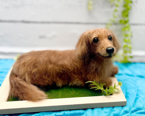 オーダー 犬 ダックス♡世界でたったひとつ 羊毛フェルト ぬいぐるみ