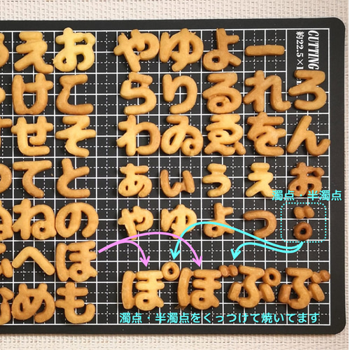 20サイズ「ひらがな/丸ゴシック」59種セット販売 イジェクタ式クッキー