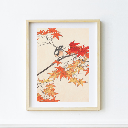 秋に 紅葉と野鳥の日本画アートポスター☆もみじ和柄和モダン昭和
