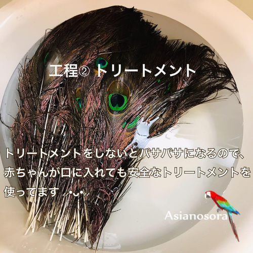 クジャク 10枚】❤️孔雀の羽根 目玉 パーツ 鳥の羽根 インテリア