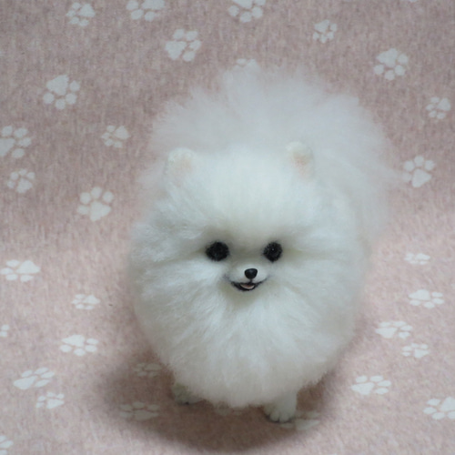 羊毛フェルト 犬 ポメラニアン 白 ホワイト 置物 羊毛フェルト Pomemal