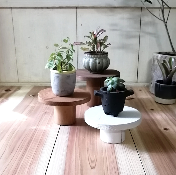 素朴な木製トレイ 観葉植物 花台 アクセサリー収納 什器 一輪挿し