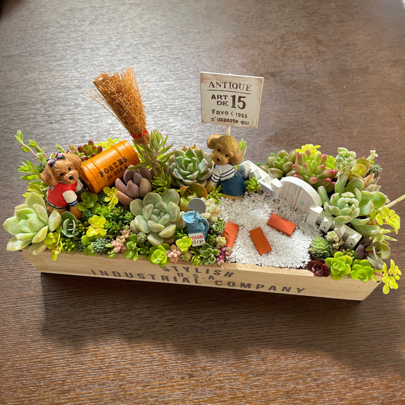 受注制作 ゲート箱庭風多肉植物寄せ植え その他インテリア雑貨 まぁ