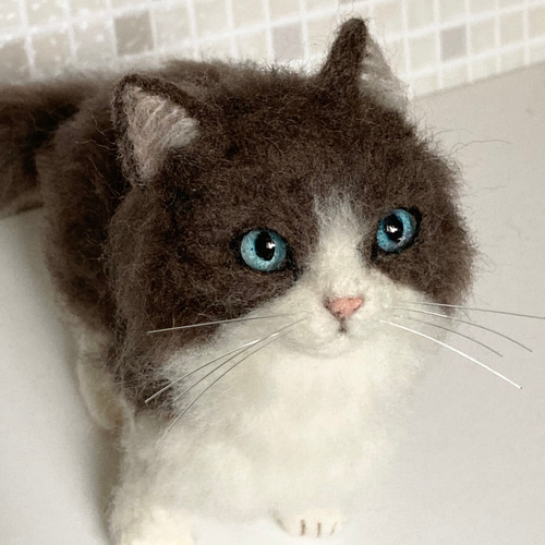 受注商品♪mia♪ Mサイズ ラグドール 猫 羊毛フェルト ハンドメイド