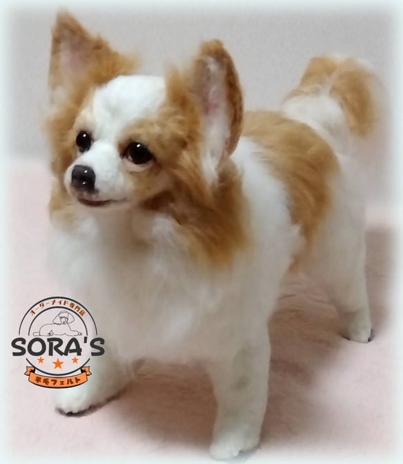 羊毛フェルト＃犬 リアルで可愛い 愛犬さん オーダー制作・わんちゃん
