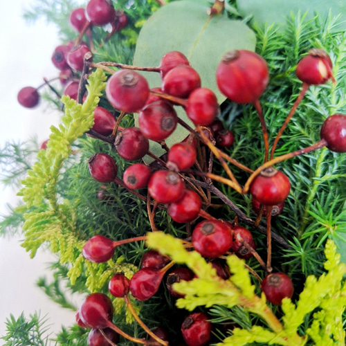 針葉樹香るクリスマスフレッシュリース/野バラの実/選べる2サイズ/玄関