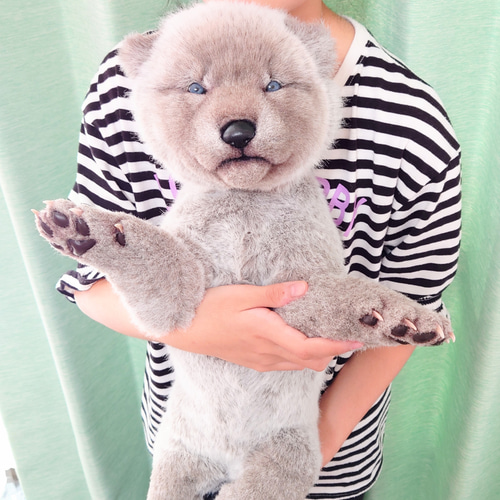 生後20日 オオカミ 赤ちゃん 仔 狼 ぬいぐるみ 布製 アートドール