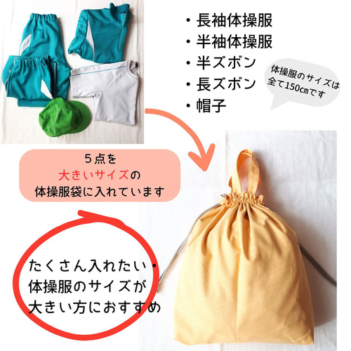 さくらんぼ 入園入学セット レッスンバッグ 体操服袋 上履き入れ 2025