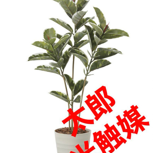 光触媒 人工観葉植物 ウォールグリーン フェイクグリーン アルテシマ