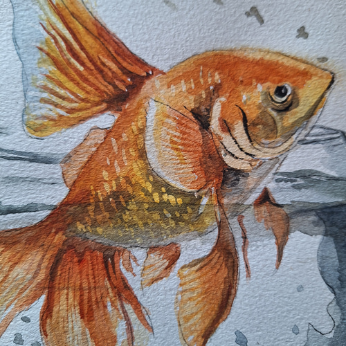 水彩画 跳ねる金魚 絵画 makochin 通販 18113695｜Creema(クリーマ