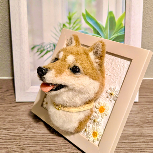 展示品【あま〜い♡】 柴犬 豆柴【フォトフレーム内寸8.5cm】羊毛