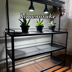 ☆送料込み☆アイアンシェルフ即購入OK 植物棚 ボタニカルシェルフ
