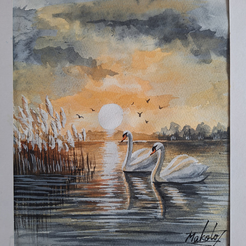 水彩画 夕陽に染まる白鳥 絵画 makochin 通販 19329121｜Creema