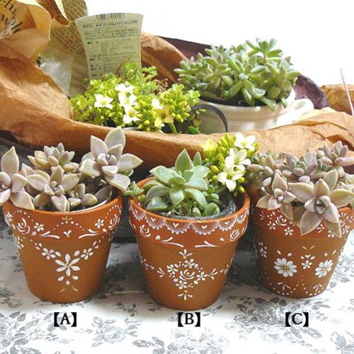 手描き植木鉢❤柄違い3点セット（受注製作） 一輪挿し・花瓶・花器