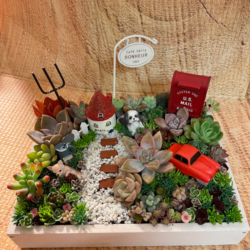 プレゼントにも〜受注制作 わんちゃんガーデン箱庭風多肉植物寄せ植え